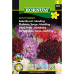 2115 enkeblomst hornum